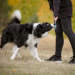 Kosketuskeppi Pro Dog Target telesk.