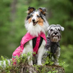 KuoriPomppa, pinkki