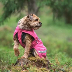 KuoriPomppa, pinkki