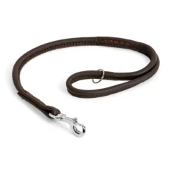 Nahkainen näyttelyhihna Show Dog, 60 cm