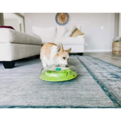 Nina Ottosson Dog Wobble Bowl lime