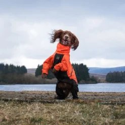 Non-stop dogwear Fjord 2.0 sadehaalari koiralle