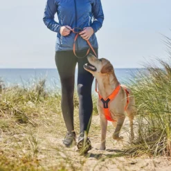 Non-Stop Dogwear Line harness 5.0, oranssi