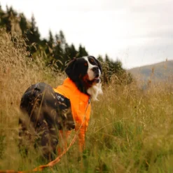 Non-stop dogwear Protector puku, urosmalli