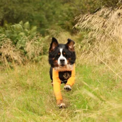 Non-stop dogwear Protector puku, urosmalli