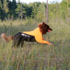Non-stop dogwear Protector puku, narttumalli