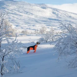 Non-Stop Protector Snow haalari, narttumalli