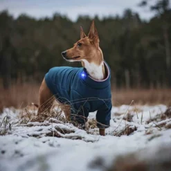Orbiloc Dual -huomiovalo
