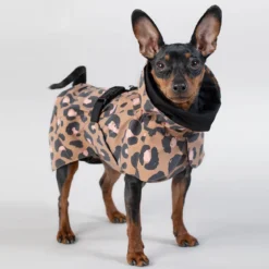 PAIKKA Visibility Raincoat Lite -koiran sadetakki, leo