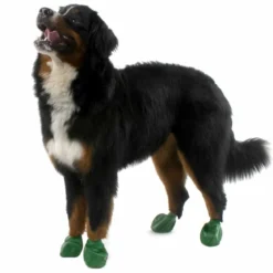 PawZ koiran suojatossut, 12 kpl