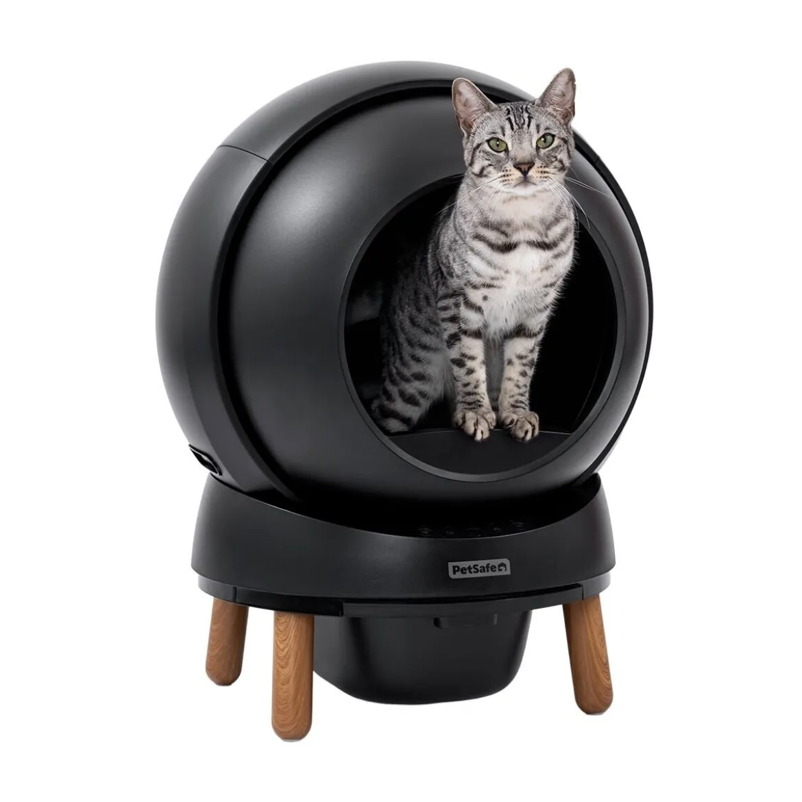 PetSafe SmartSpin -automaattinen kissanvessa, musta