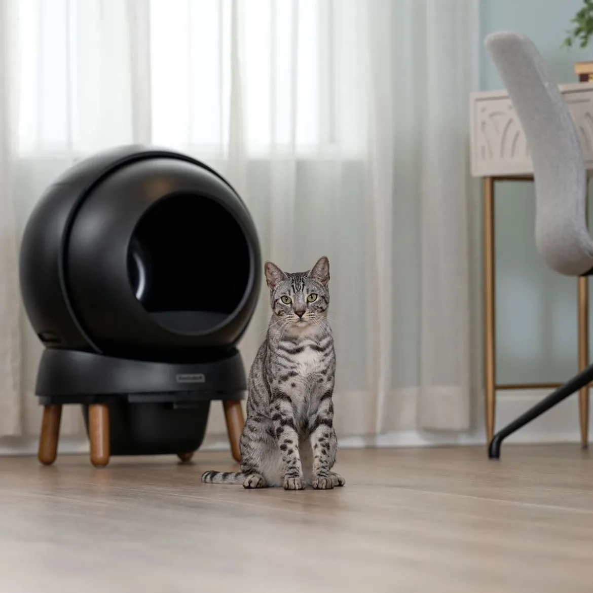 PetSafe SmartSpin -automaattinen kissanvessa, musta