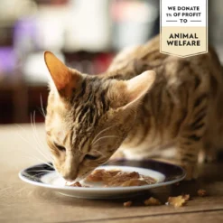 PrimaCat Classic valuepack 48x85g