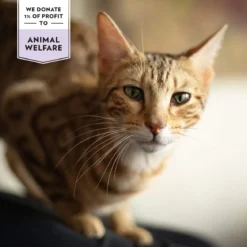 Prima Cat Crunchy Skin & Coat 40 g