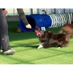 Pro Dog Bright patukka pehmeä, pinkki
