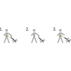 Pro Dog Handsfree setti