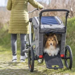 Pyöräkärry Trixie Premium, harmaa