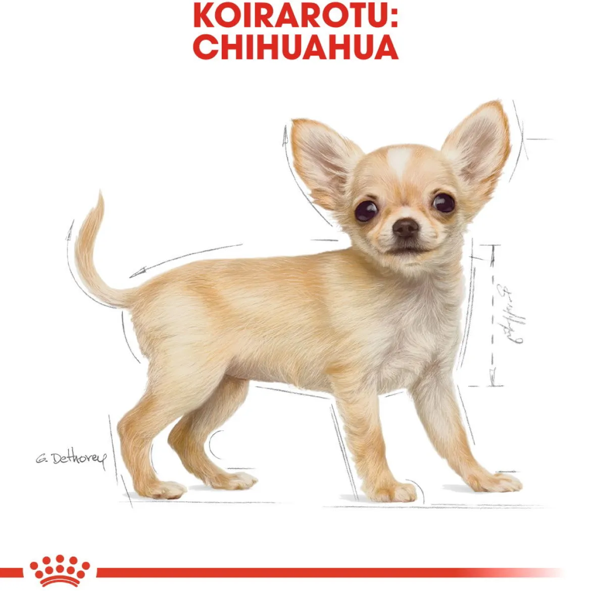 Royal Canin Breed Chihuahua Puppy