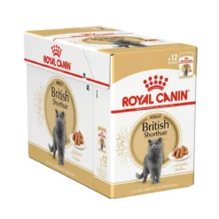 Royal Canin British Shorthair 85g, 48-pack