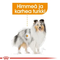 Royal Canin Coat Care Mini