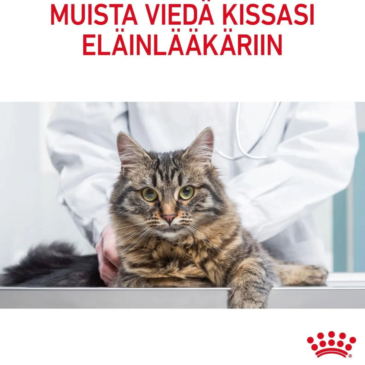 Royal Canin Dental Care