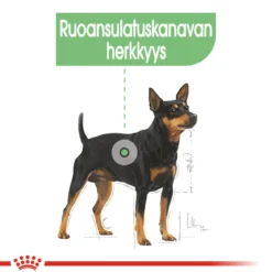 Royal Canin Digestive Care wet 48x85 g
