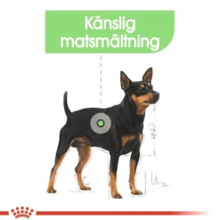 Royal Canin Digestive Care wet 48x85 g