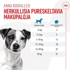 Royal Canin Dog Training Treats 110g
