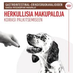 Royal Canin Gastrointestinal Treats 230 g