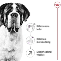 Royal Canin Giant Adult 2 x 15kg
