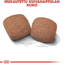 Royal Canin Giant Adult 2 x 15kg