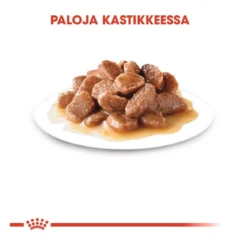 Royal Canin Instinctive +7 Gravy 12x85g