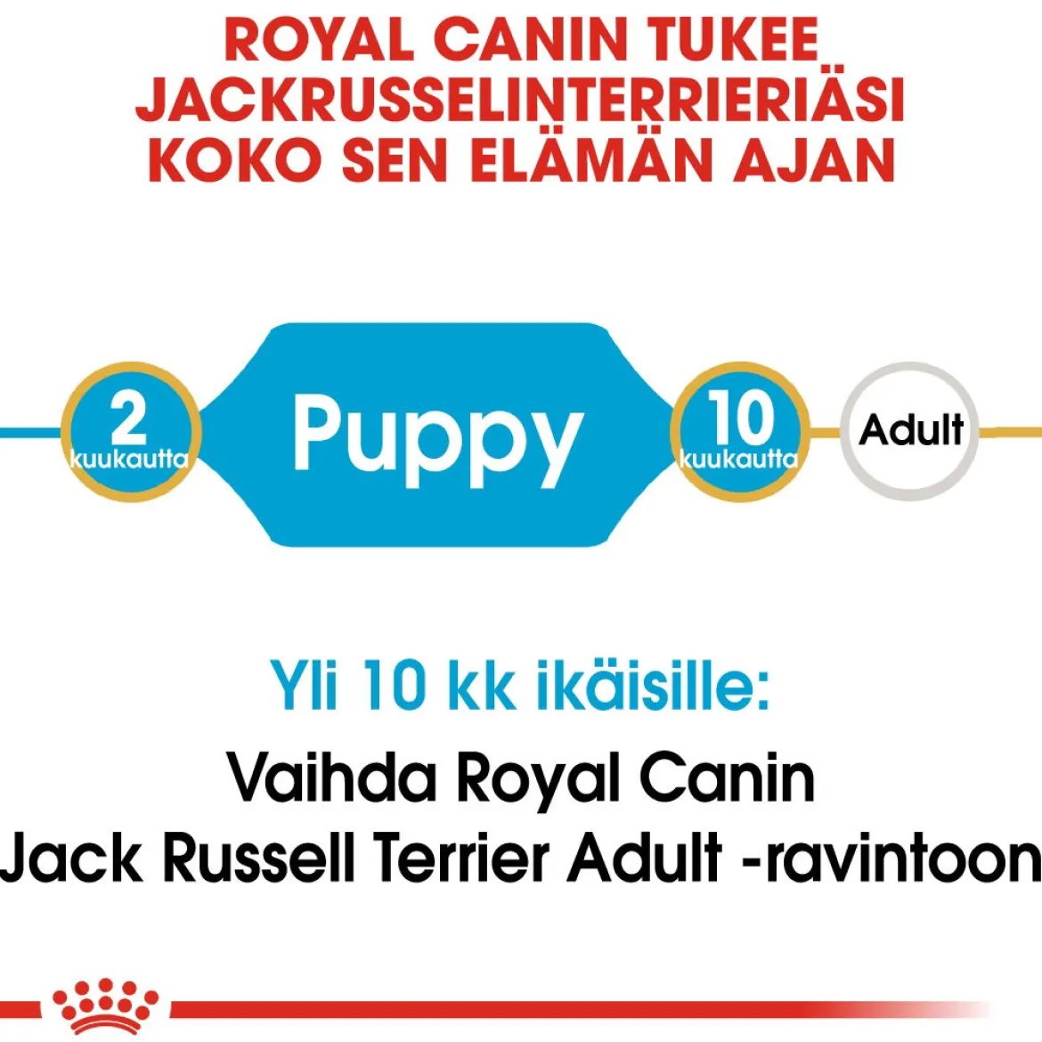 Royal Canin Jack Russel Puppy, 1,5 kg