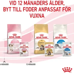 Royal Canin Kitten Gravy 85g, 48-pack