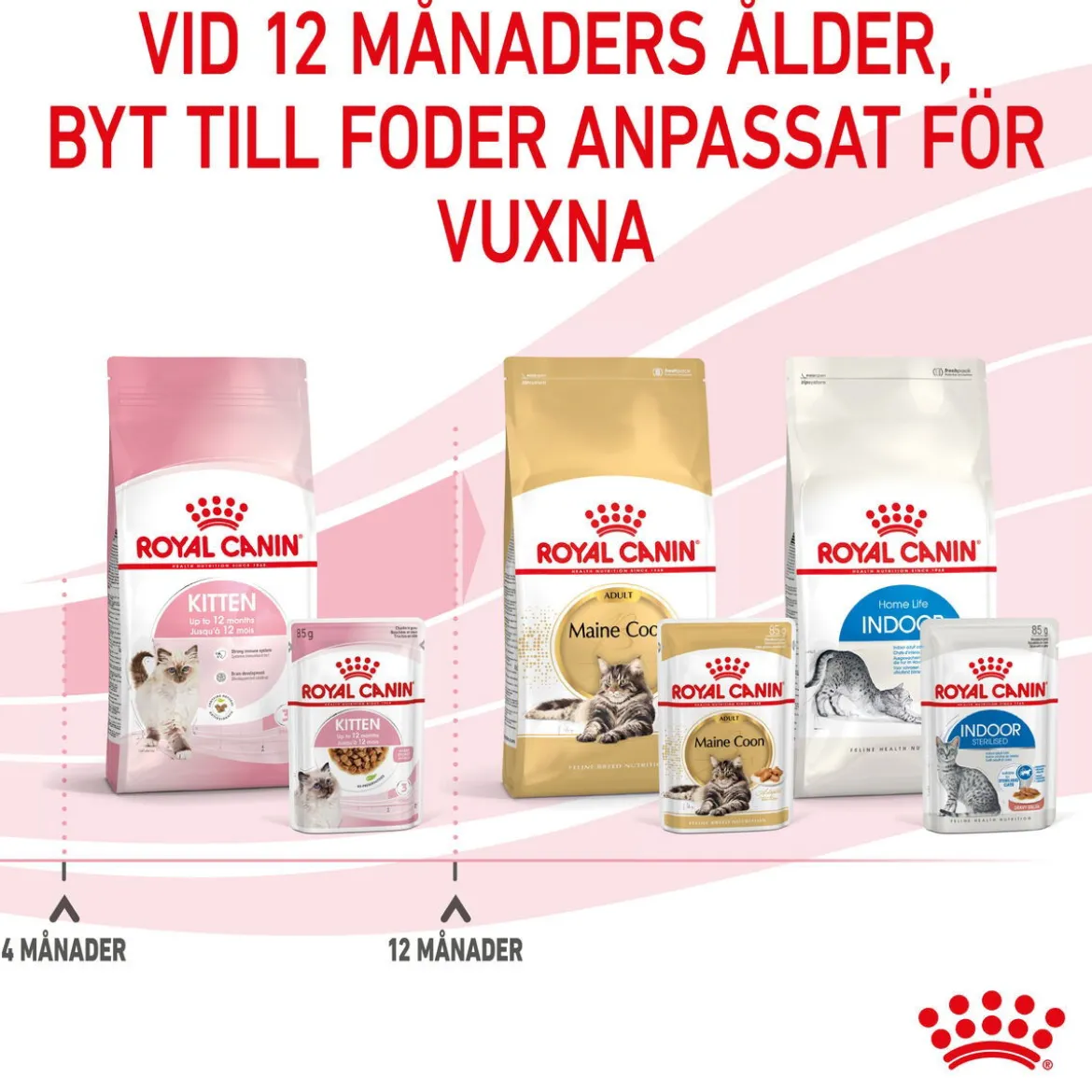 Royal Canin Kitten Gravy 85g, 48-pack