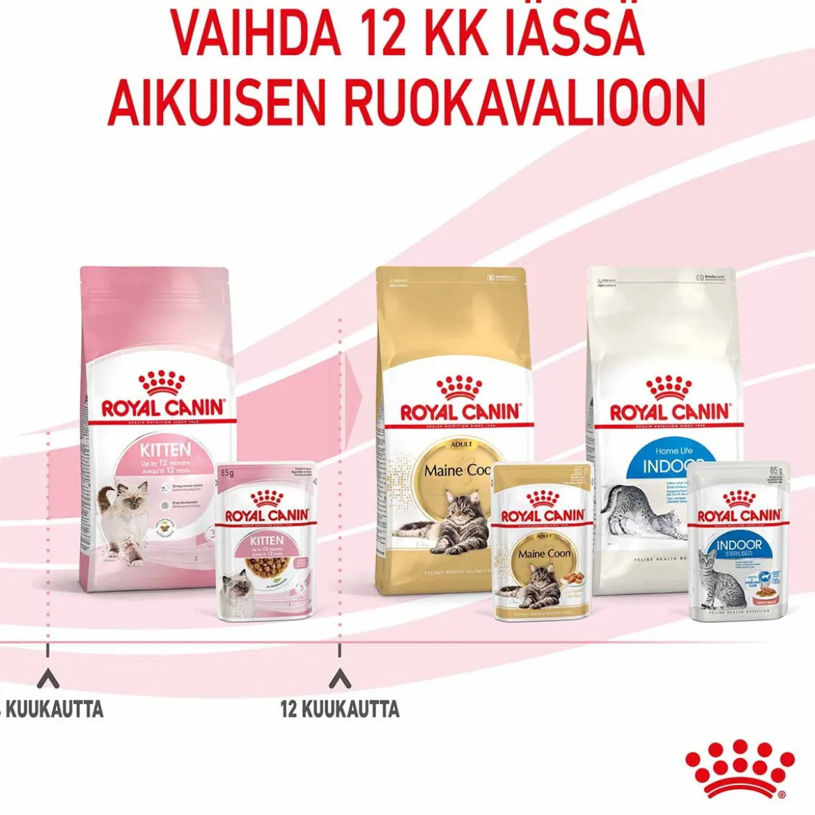 Royal Canin Kitten Gravy 85g, 48-pack
