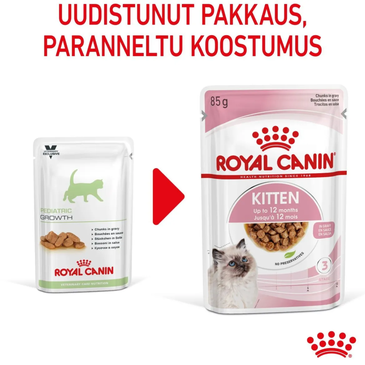 Royal Canin Kitten Gravy 85g, 48-pack