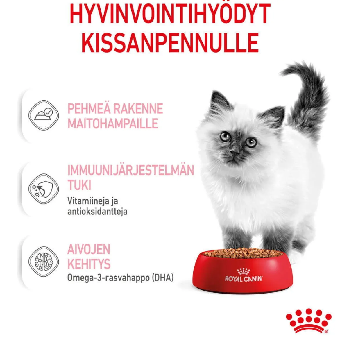 Royal Canin Kitten Gravy 85g, 48-pack