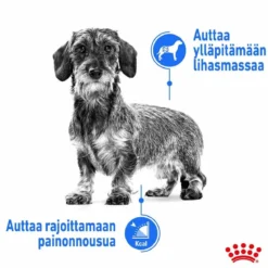 Royal Canin Light Weight Care X-Small 1,5 kg