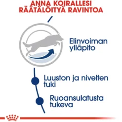 Royal Canin Maxi Adult 5+