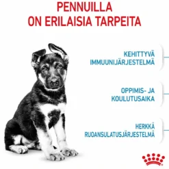 Royal Canin Maxi Puppy