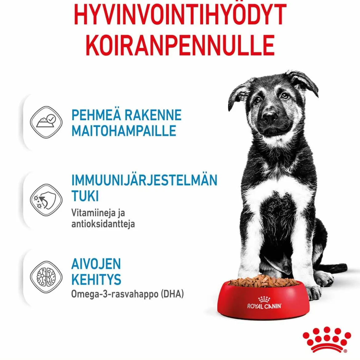 Royal Canin Maxi Puppy Wet 10x140g