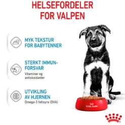Royal Canin Maxi Puppy 40x140 g