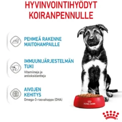 Royal Canin Maxi Puppy 40x140 g