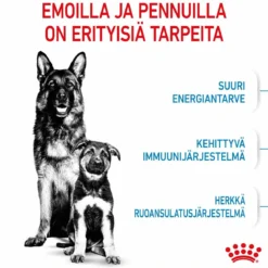 Royal Canin Maxi Starter