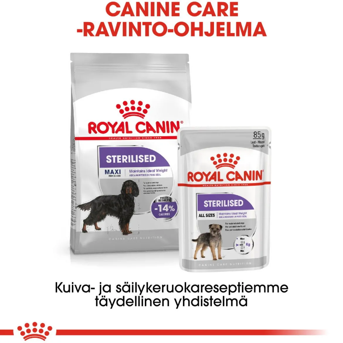 Royal Canin Maxi Sterilised, 12 kg