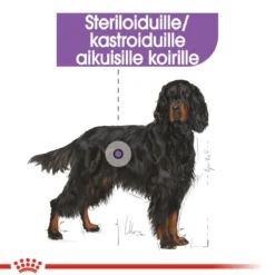 Royal Canin Maxi Sterilised, 12 kg