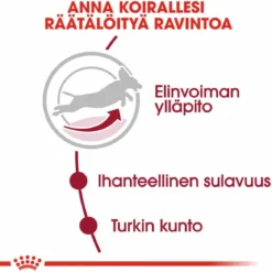Royal Canin Medium Adult 7+