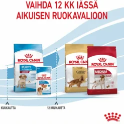 Royal Canin Medium Puppy