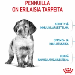 Royal Canin Medium Puppy